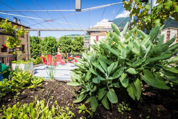 B&B Panemiele Sondrio Zewnętrze zdjęcie